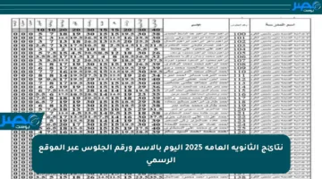 نتائج الثانوية العامة 2025 اليوم بالاسم ورقم الجلوس عبر الموقع الرسمي